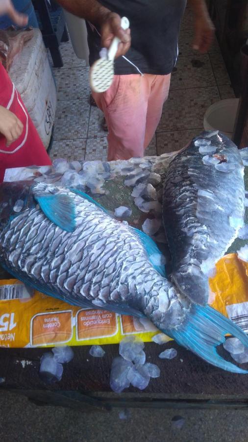 Temporada Litoral,praia, Carnaval E Lazer